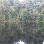 Mirror Tarn