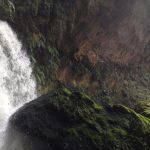 Picture of rock & Tawarau Falls