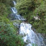 Image of Milford Track water cascades