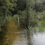 Image of flooded Milford Track