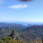 Image of Mt Hobson view