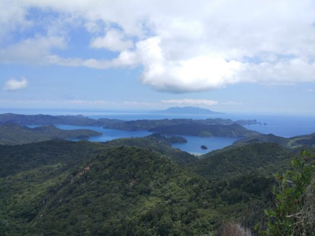 Image of Little Barrier Island view